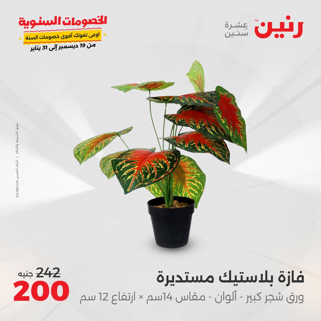 raneen offers from 1jan to 4jan 2025 عروض رنين من 1 يناير حتى 4 يناير 2025 صفحة رقم 81